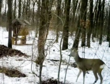 � ������� ������� �� ����� ����� ����� ��������