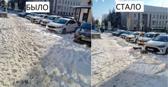 Сотрудники комитета по тарифам и ценам Курской области присоединились к общегородскому зимнему субботнику