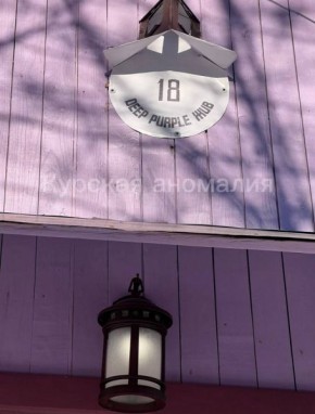 � ������ ��������� ����� �Deep purple�