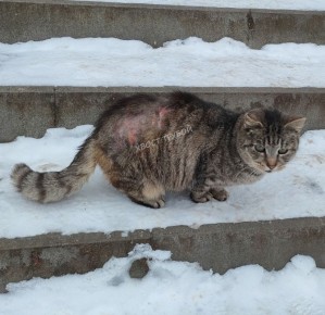 � ������ ��������� ����� �������� ����� �� ������������