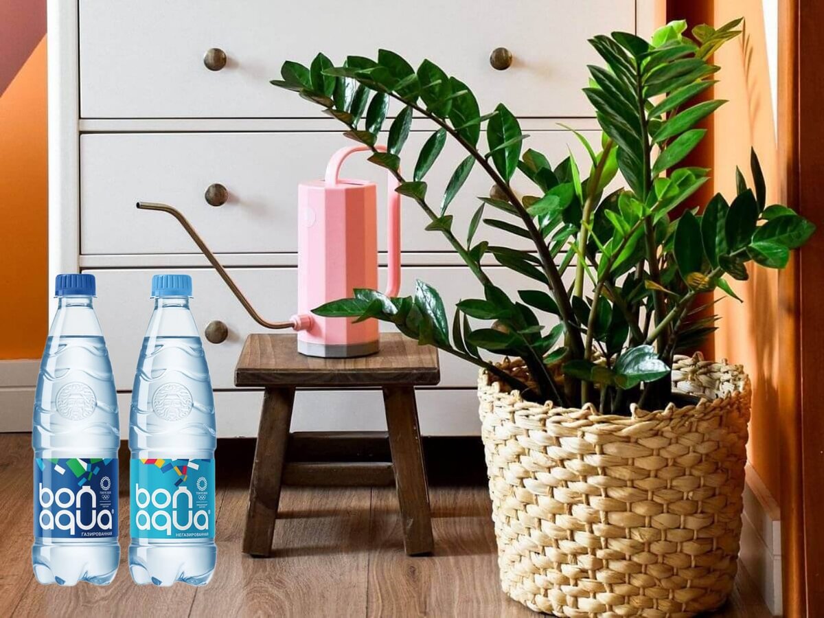 Минеральная вода для растений: мифы и реальность