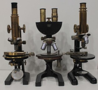 �������� ���������� ������� ������� � ������ ���� � ������� ����� ����������