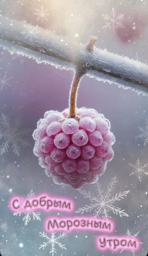 ������ ����!. �������, �� �������, 24 �������, �� �������� ������������� ��������� ���, � ������� ������� ��������� �������� ������