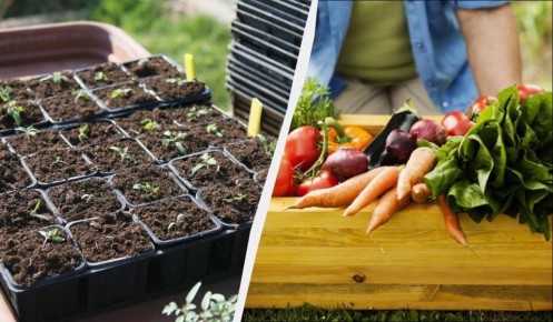 ��� ����� �������� � �������: ��� �����, ������� �������� ������