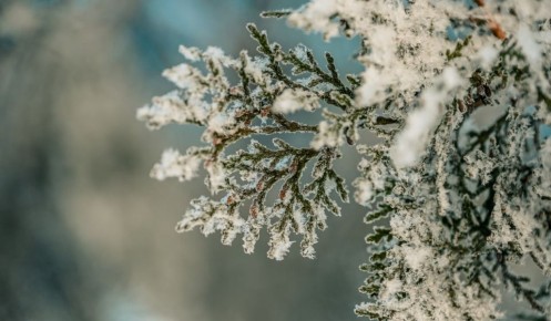 � ������� ������� 25 ������� ��������� ���� � �����