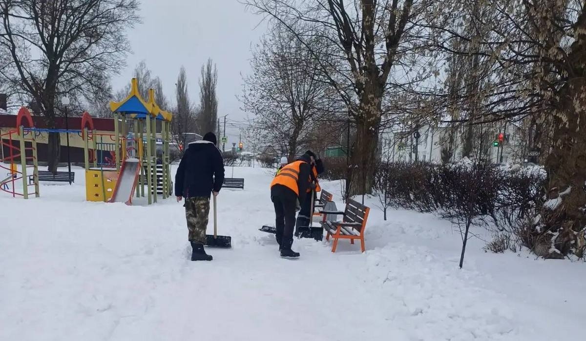 В Курске после внушения мэра расчищают парки и скверы