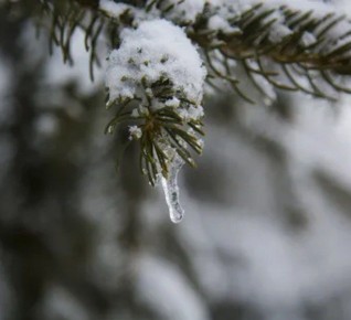 ������ ����!. ������� ��������, +1�C ����, ����� ���� ����� �� ������, ����� -1�C