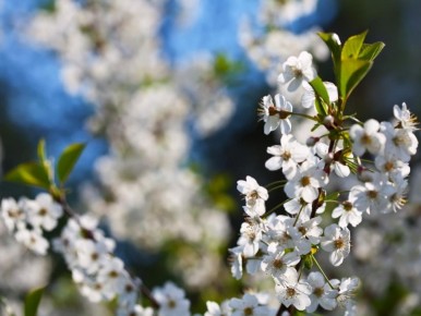 ��� ������ ��������� ������, ����� ��� �� �������� �����