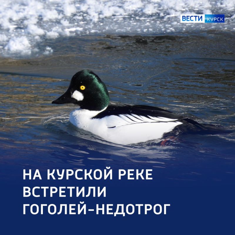 ������� �������. ��� ��������� �������� ������, ������������� �������, ��� � ���� �������