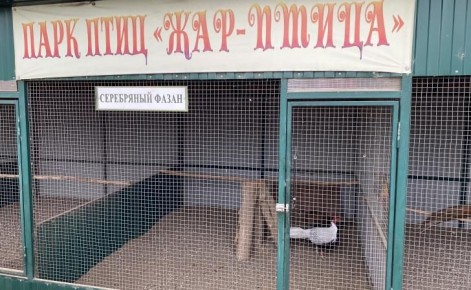 ���� ���� � ��������� ���������� ����� ��� ����������