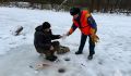 В Курской области толщина льда на водоемах достигает 40 см