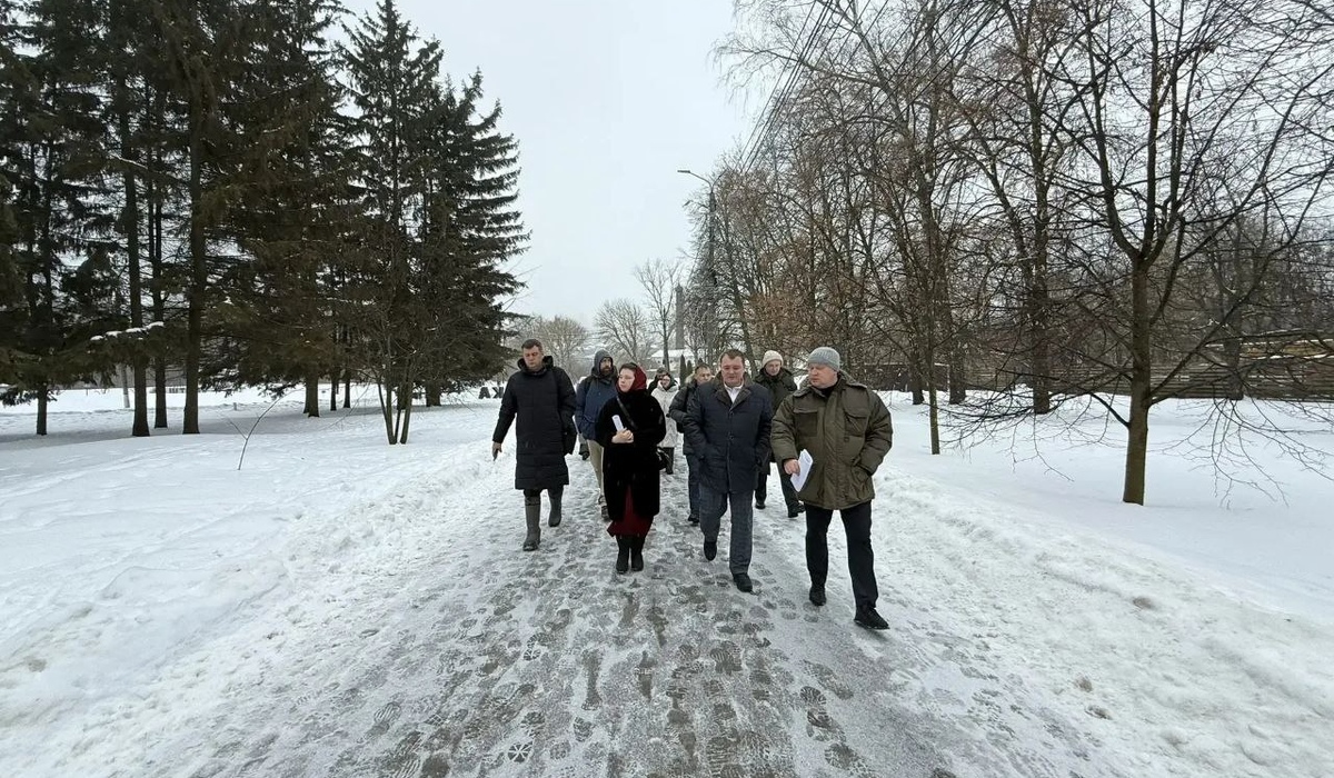 В Курске территорию парка «Боева дача» расчистят от американского клена