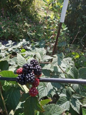 ���������: �������� �������� � ������� �������� �������