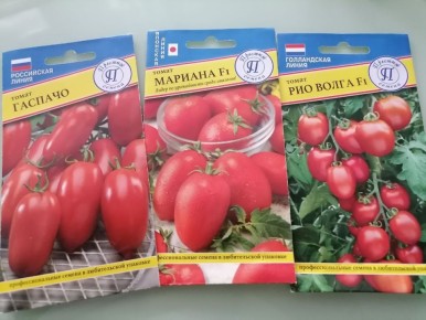 Когда и как сеять томаты на рассаду в Сибири