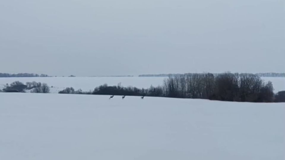 #�������. �� ������ ������? � ��� ����! ������� ��� ������������� ������ � ������������ ���������� ������ �� �������������