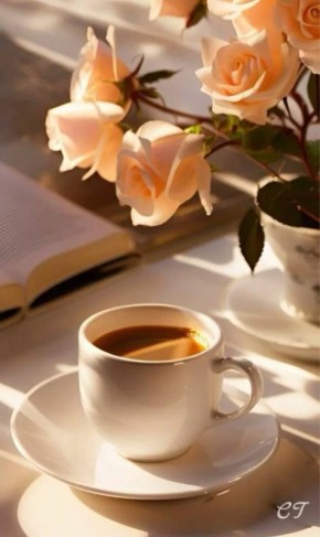 Доброе утро!. Сегодня, в четверг, 26 февраля, по прогнозу регионального отделения МЧС, в Курской области ожидается облачная погода с прояснениями