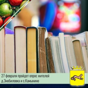Опрос жителей деревни Знобиловка и села Камынино