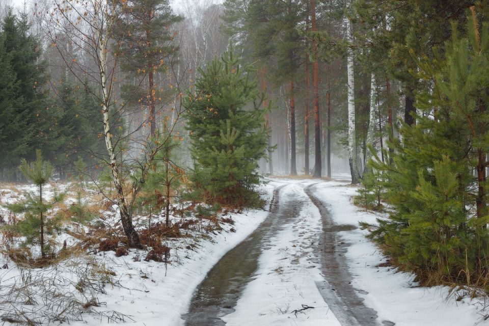 ������ ����!. ��� ������� ����� ��� ����