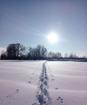 ������ ����, ������!. ���� ����� ���������, �� ��� �������