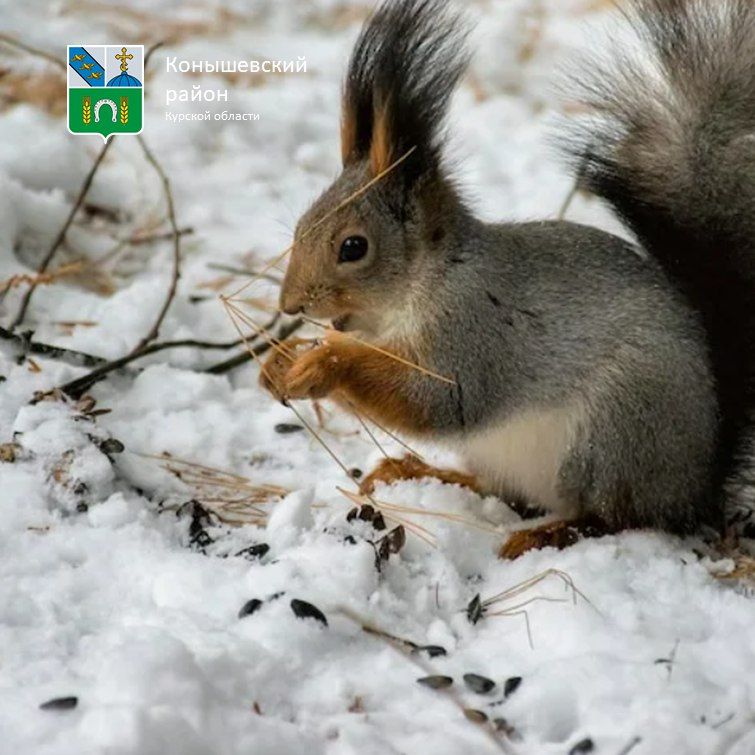 ������ ����!. �� ����� ��������, ���� ���������� ������� 0�C, �������� ������, ����� �������� -2�C