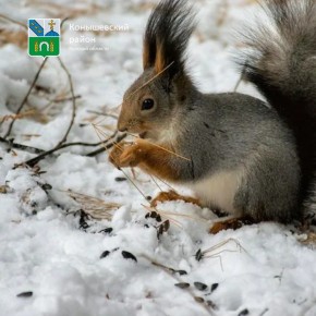 ������ ����!. �� ����� ��������, ���� ���������� ������� 0�C, �������� ������, ����� �������� -2�C