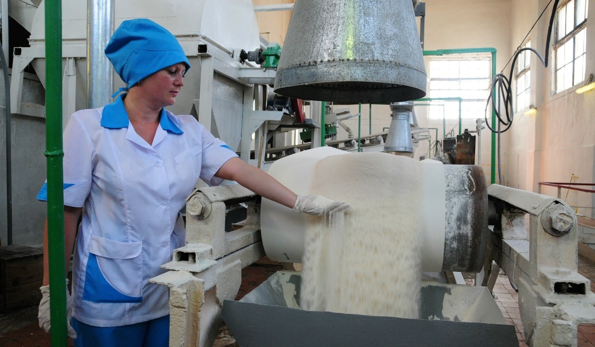 Курская область направит 32 млн рублей на подготовку кадров для АПК в 2026 году