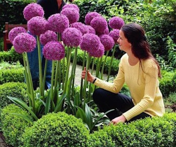 ��� ����� ���������� ���������� ����: ���������� ����� � ������