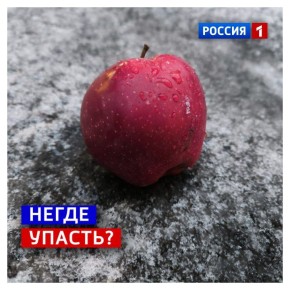 27 февраля, пятница. Есть мнение, что коммунальщикам мешают припаркованные машины