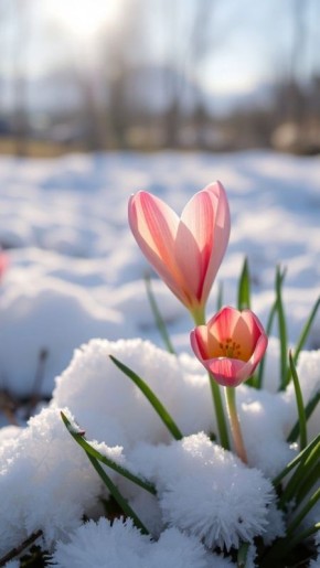 ������ ����, ������!. ������� ��������� �������� ������ � ������������