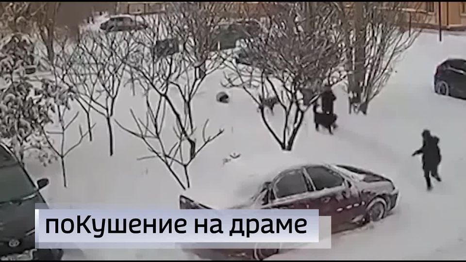 11111 ������� ���� ������� ������� ����� � ����� ��������� ����� � ����� �����: