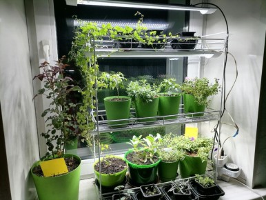 ��� ������� ��������� ����� ��� �������: ������ � ���������