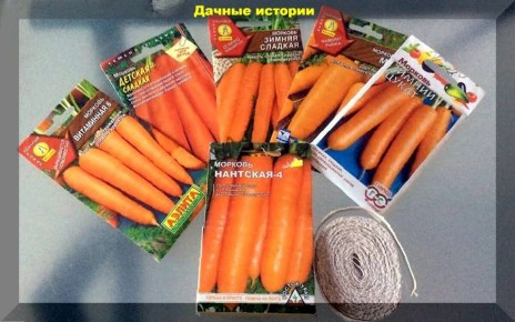 �������: ������� ���������� ������ � ���� �� �����������