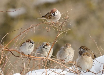 � ��� ���� ���������. � ��������� ���� ����?