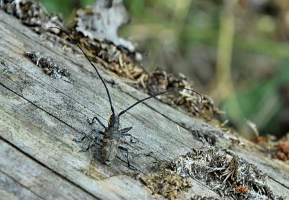 В Курске 28 феврадя будет облачно с прояснениями