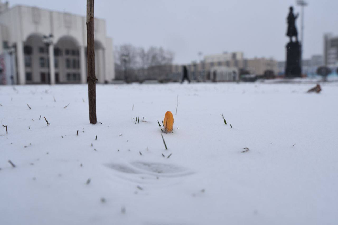 В первый день весны курян ждет потепление до семи градусов