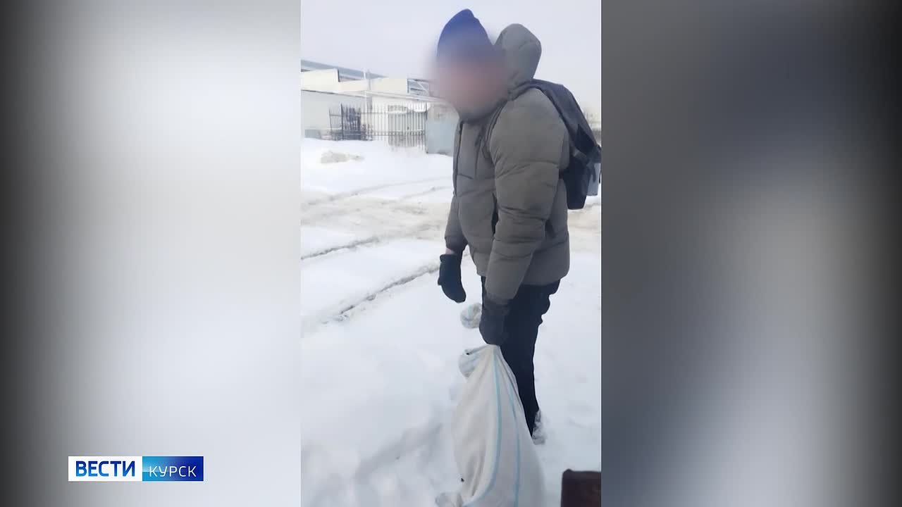 123 поКушение на драме. Бродячие собаки напали