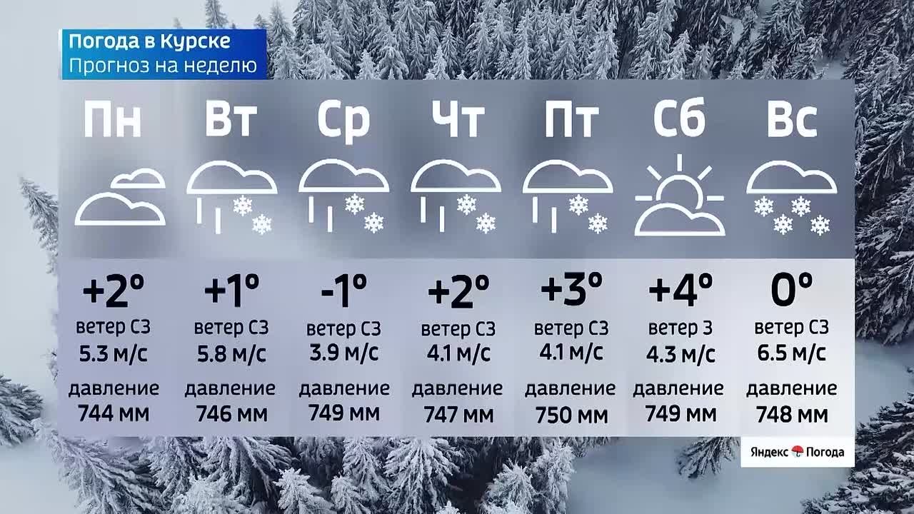 ВЕСТИ Читать | Прислать | MAX