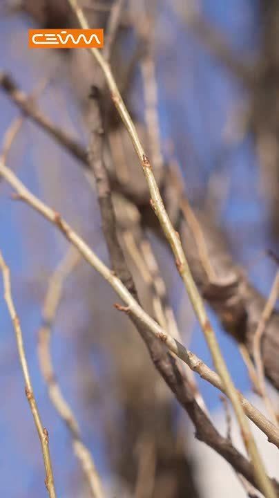 � ������ ���� �����, ������!