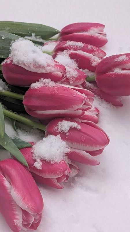 С первым днём весны, друзья! Ждём скорейшего потепления