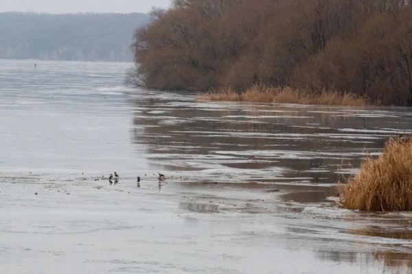 Бесхозные плотины и дамбы: в регионе проверяют готовность к паводку