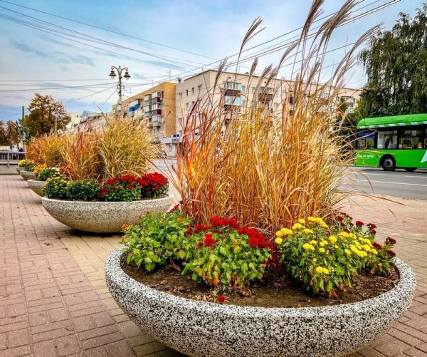 Хинштейн поручил проверить контракты на озеленение города Курска