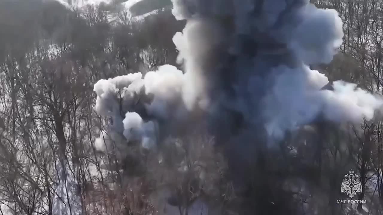 Саперы показали кадры разминирования в Курской области