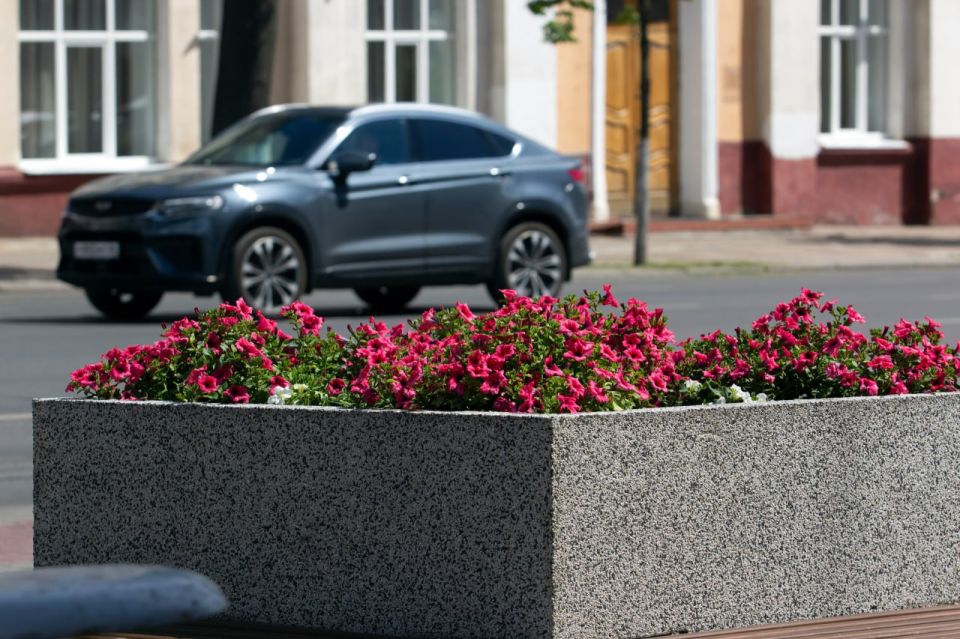 В Курске планируют пересмотреть порядок заключения контрактов на озеленение городских территорий