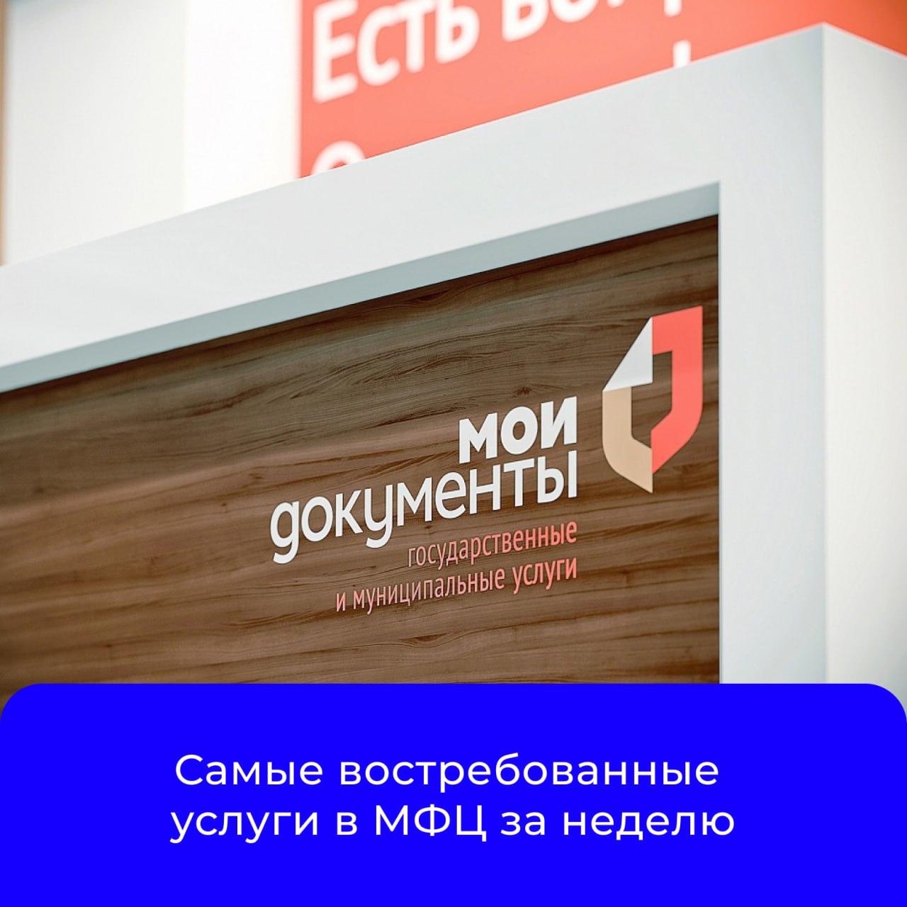 Самые востребованные услуги Министерства социального обеспечения, материнства и детства Курской области в МФЦ за прошедшую неделю: