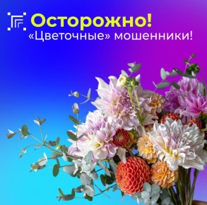 Мошенники разработали новую схему для похищения персональных данных граждан России