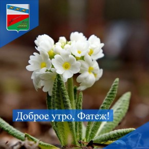 ДОБРОЕ УТРО. Пусть сегодняшний день принесет вам только позитивные эмоции и новые достижения