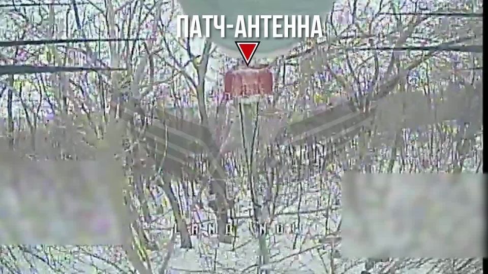 ���������� ������ ������������ ����� ��������� ������� �������� ���, �������������� � ������ ��������, ��������, �������, ������� ������� � ������� ��������� ���������� ������� ������� ���������� �� ������� �����������...