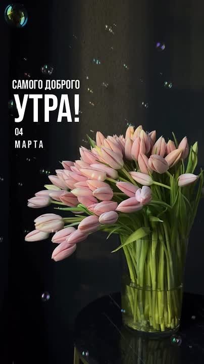 Доброе утро, наши любимые подписчики!