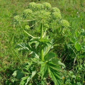 � ������� ������� ������ ����������� �� ��������� � ������������� �����