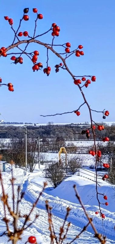 Доброе утро!. Сегодня будет облачно с прояснениями